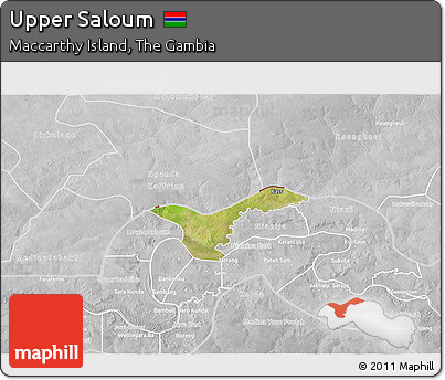 Satellite 3D Map of Upper Saloum, lighten, desaturated