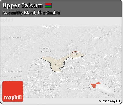 Shaded Relief 3D Map of Upper Saloum, lighten, desaturated