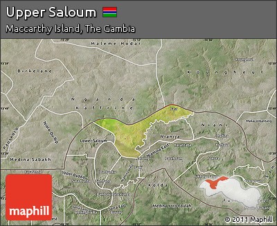 Satellite Map of Upper Saloum, semi-desaturated