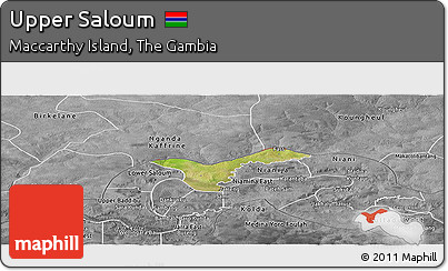 Satellite Panoramic Map of Upper Saloum, desaturated