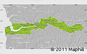 Physical Map of The Gambia, lighten, desaturated