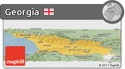 Savanna Style Panoramic Map of Georgia
