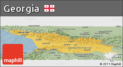 Savanna Style Panoramic Map of Georgia