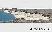 Shaded Relief Panoramic Map of Georgia, darken