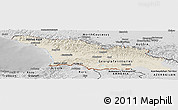 Shaded Relief Panoramic Map of Georgia, desaturated