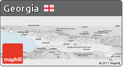 Silver Style Panoramic Map of Georgia