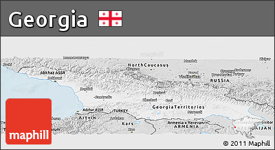 Silver Style Panoramic Map of Georgia