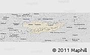 Shaded Relief Panoramic Map of Göppingen, desaturated