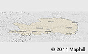Shaded Relief Panoramic Map of Ostalbkreis, lighten, desaturated