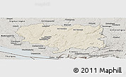 Shaded Relief Panoramic Map of Ravensburg, semi-desaturated