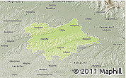 Physical 3D Map of Dingolfing-Landau, semi-desaturated