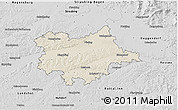 Shaded Relief 3D Map of Dingolfing-Landau, desaturated