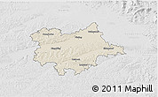 Shaded Relief 3D Map of Dingolfing-Landau, lighten, desaturated