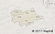 Shaded Relief 3D Map of Dingolfing-Landau, lighten