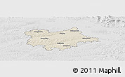 Shaded Relief Panoramic Map of Dingolfing-Landau, lighten, desaturated