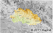 Physical 3D Map of Freyung-Grafenau, desaturated