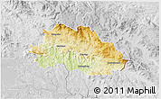 Physical 3D Map of Freyung-Grafenau, lighten, desaturated