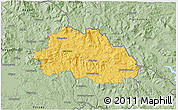 Savanna Style 3D Map of Freyung-Grafenau