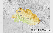 Physical Map of Freyung-Grafenau, lighten, desaturated