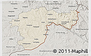 Shaded Relief 3D Map of Passau, semi-desaturated