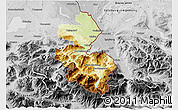 Physical 3D Map of Berchtesgadener Land, desaturated