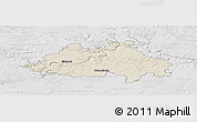 Shaded Relief Panoramic Map of Eichstätt, lighten, desaturated