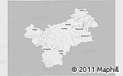 Gray 3D Map of Bayreuth, single color outside