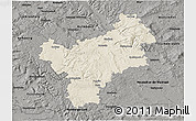 Shaded Relief 3D Map of Bayreuth, darken, semi-desaturated
