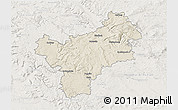 Shaded Relief 3D Map of Bayreuth, lighten