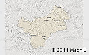 Shaded Relief 3D Map of Bayreuth, lighten, semi-desaturated