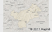 Shaded Relief 3D Map of Bayreuth, semi-desaturated