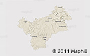 Shaded Relief 3D Map of Bayreuth, single color outside