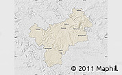 Shaded Relief Map of Bayreuth, lighten, desaturated