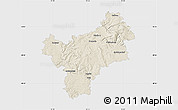 Shaded Relief Map of Bayreuth, single color outside