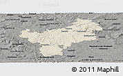 Shaded Relief Panoramic Map of Bayreuth, darken, semi-desaturated