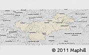 Shaded Relief Panoramic Map of Bayreuth, desaturated