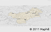 Shaded Relief Panoramic Map of Bayreuth, lighten, desaturated
