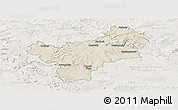 Shaded Relief Panoramic Map of Bayreuth, lighten