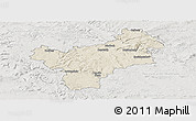 Shaded Relief Panoramic Map of Bayreuth, lighten, semi-desaturated