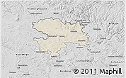 Shaded Relief 3D Map of Coburg, desaturated
