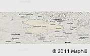Shaded Relief Panoramic Map of Coburg, semi-desaturated