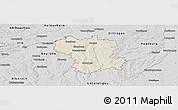 Shaded Relief Panoramic Map of Günzburg, desaturated
