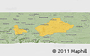 Savanna Style Panoramic Map of Wolfenbüttel
