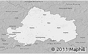 Gray 3D Map of Wittenberg