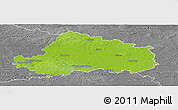 Physical Panoramic Map of Wittenberg, desaturated