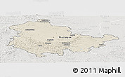 Shaded Relief Panoramic Map of Thüringen, lighten, semi-desaturated