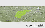 Physical Panoramic Map of Odotobri, semi-desaturated