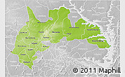 Physical 3D Map of Brong Ahafo, lighten, desaturated