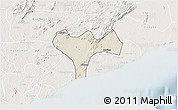 Shaded Relief 3D Map of Ga, lighten