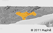 Political Panoramic Map of Ga, desaturated